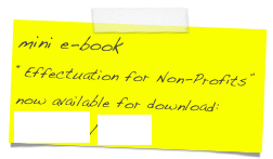mini e-book 
“Effectuation for Non-Profits” now available for download: nederlands/english
